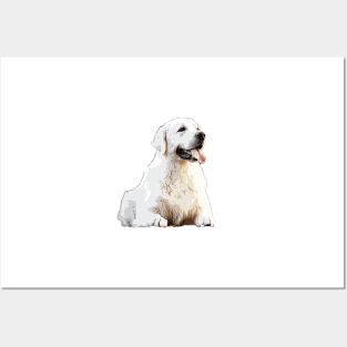 Golden Retriever White Puppy Dog Posters and Art